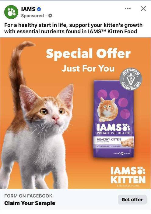 Free Bag of IAMS Proactive Health Kitten Food