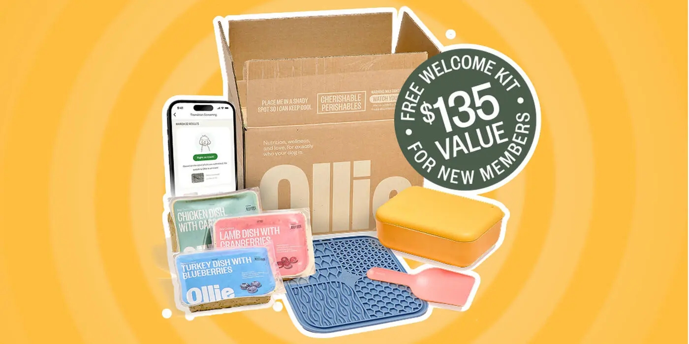 image-loading image-loading