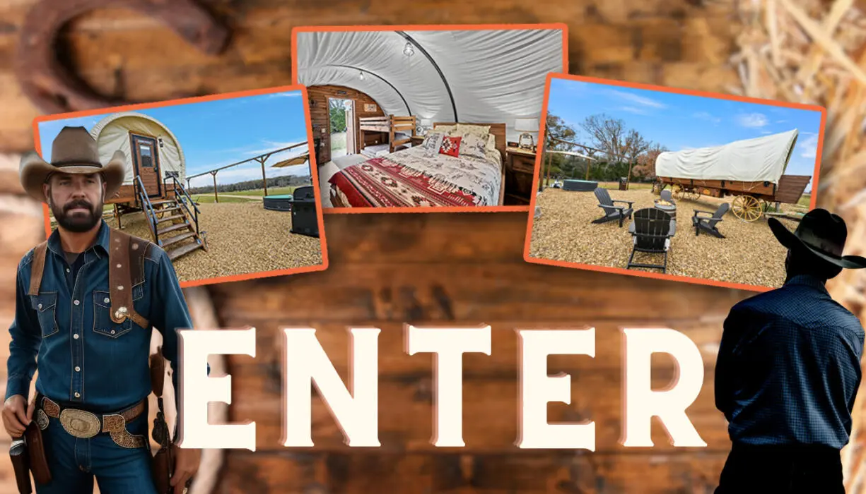 image-loading image-loading