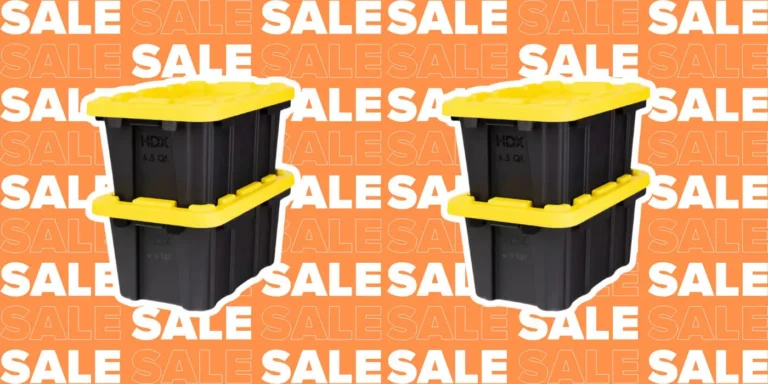 Home Depot's Mini Storage Totes Are Back in stockโONLY $2.50! October 24, 2025 Home Depot's Mini Storage Totes Are Back in stockโONLY $2.50!