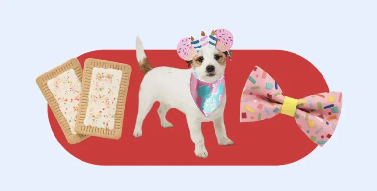 Celebrate Your Pet's Birthday with PetSmart's Gotcha Bashes! (free treats + FUN!)