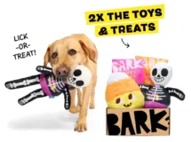 halloween 2024 barkbox