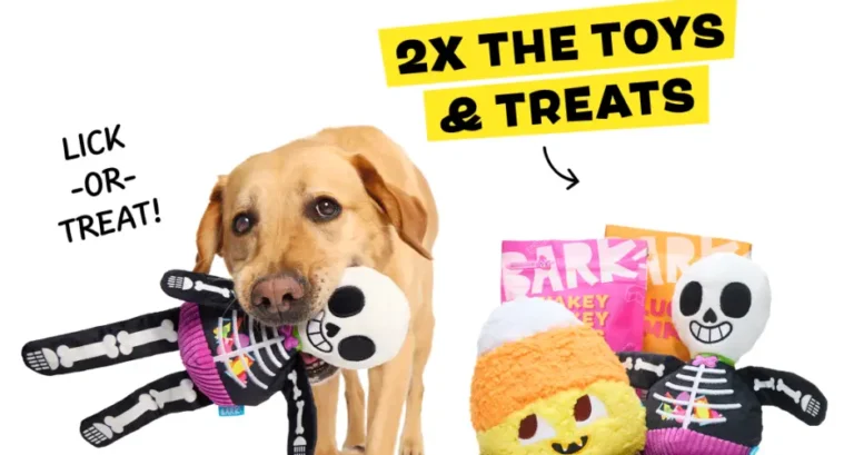 Double Your First BarkBox for FREE (4 Toys + 4 Treats!)