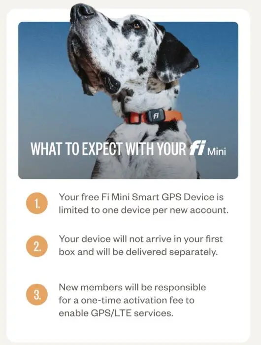 FREE Fi Mini GPS Tracker + 60% Off Your First Ollie Box!