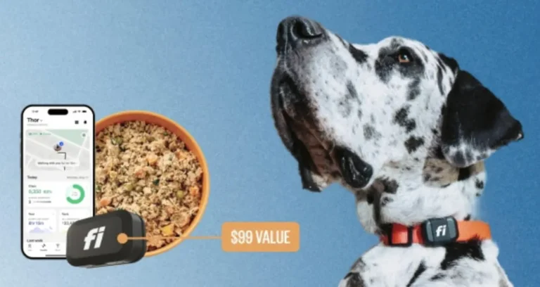 FREE Fi Mini GPS Tracker + 60% Off Your First Ollie Box!
