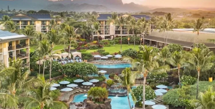 image-loading image-loading