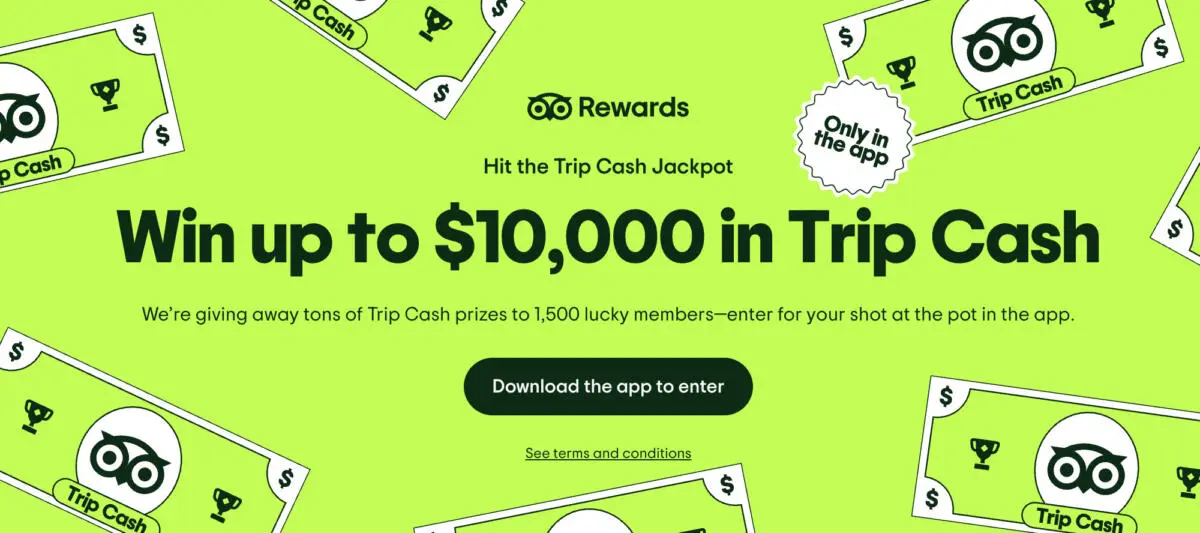 image-loading image-loading