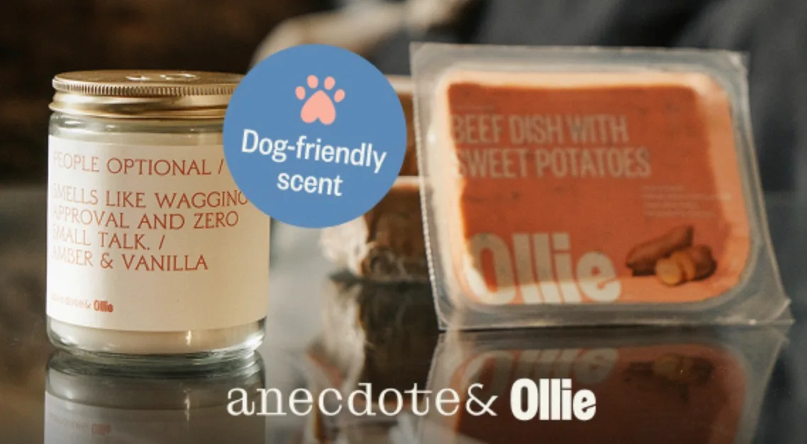 free custom anecdote candle + 60% OFF Ollie