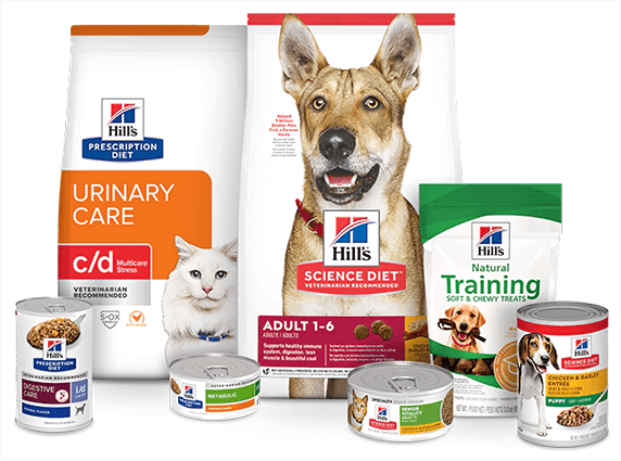 image-loading image-loading