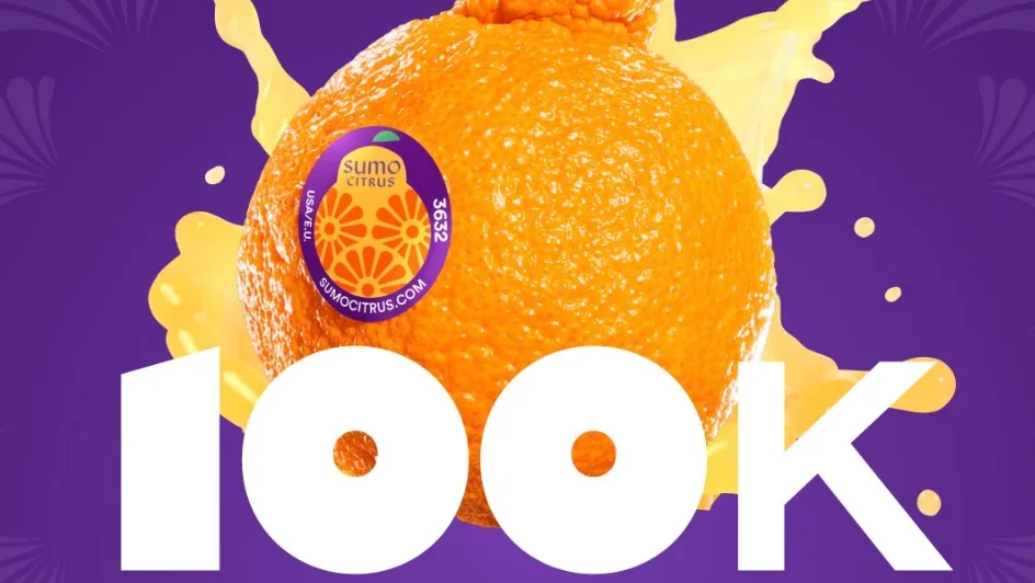 image-loading image-loading