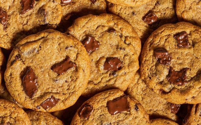 Free Chocolate Chunk Cookie at Insomnia Cookies